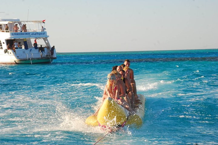 Dolphin House sea trip - Image 4