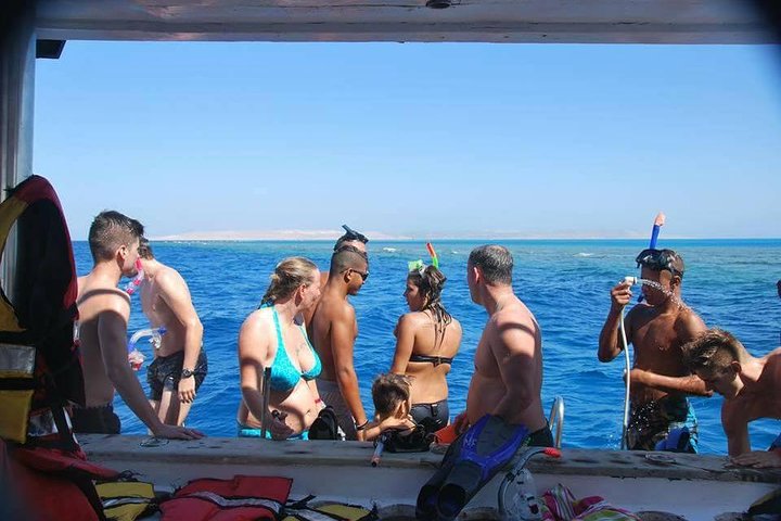 Dolphin House sea trip - Image 5