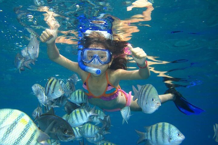 Dolphin House Sea Trip - HURGHADA VIP - Image 3