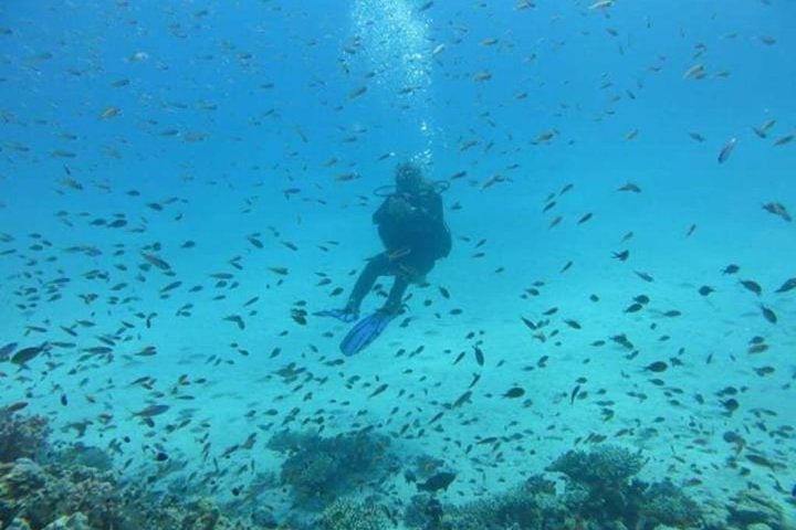 Dolphin house trip in hurghada - Image 5