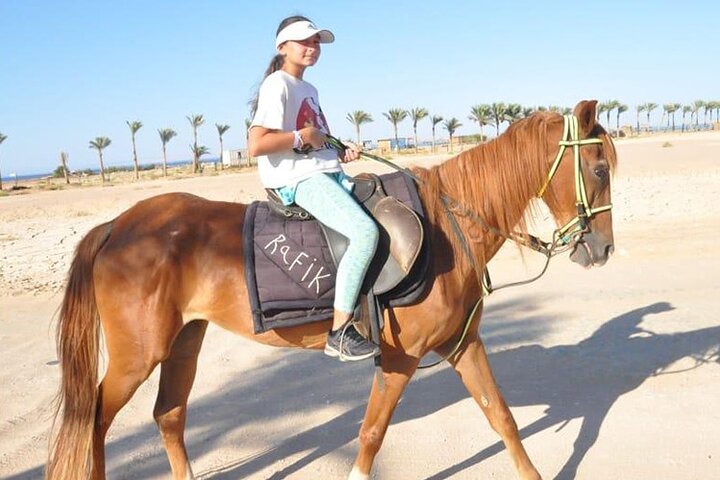 El Gouna Horse Ride Tour - Image 3