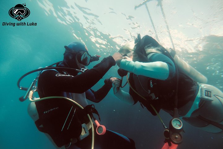 Full day diving with private guide, lunch drinks transportation - Image 1