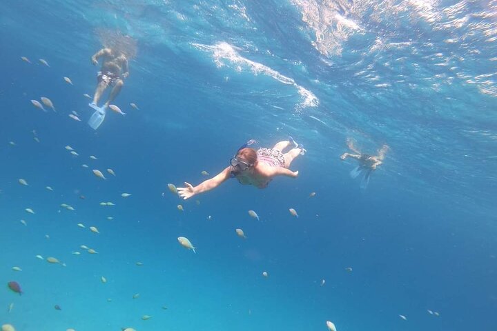 Full day Dolphin House Snorkeling and swimming with dolphins Trip in Hurghada - Image 4