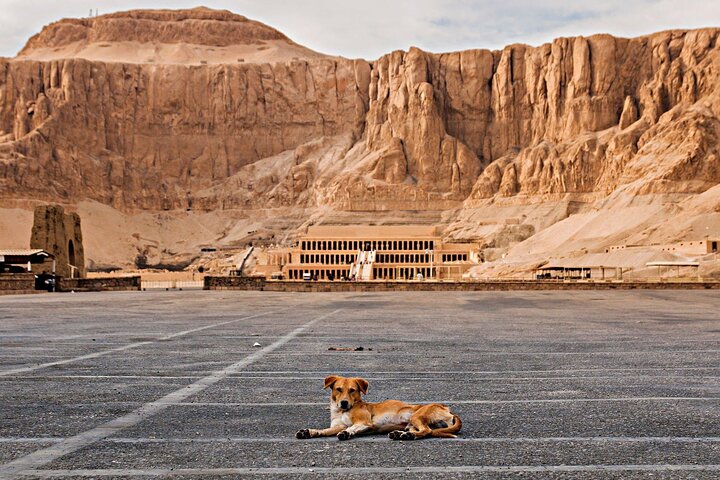 Full-Day Private Tour From Hurghada to Luxor - Image 5