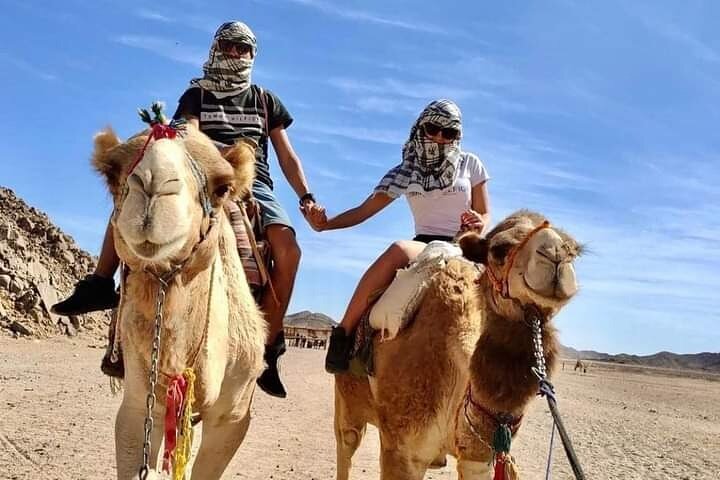 Full-Day Safari Adventure in Hurghada with Pick Up and Dinner - Image 5