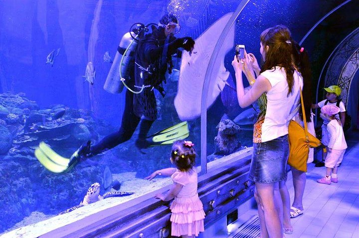 Grand Aquarium - Discover The Red Sea .  - Image 2