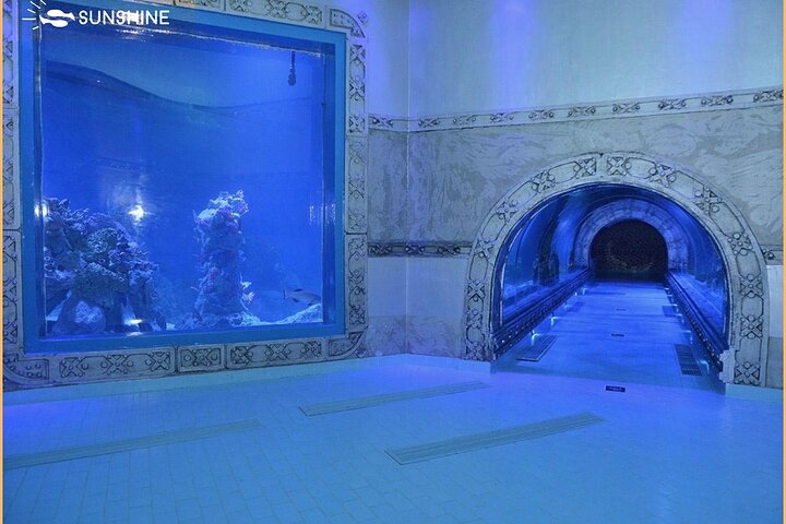 Grand Aquarium - Discover The Red Sea .  - Image 3