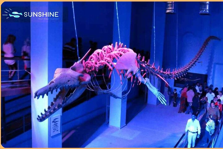 Grand Aquarium - Discover The Red Sea .  - Image 4