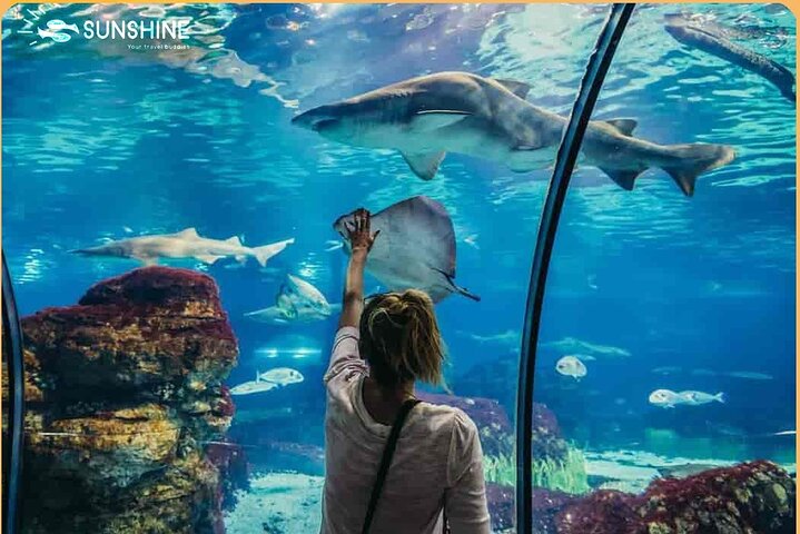 Grand Aquarium - Discover The Red Sea .  - Image 5