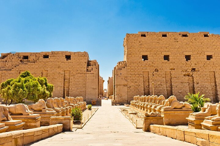 Guided Private Luxor Excursion from Safaga Port - Image 4