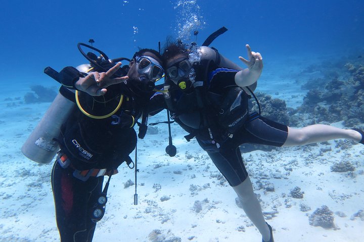 Hurghada Daily Scuba Dive Trip - Image 4