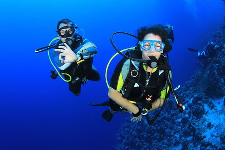 Intro Diving for Beginners in Hurghada with Pick-up and Lunch - Image 1