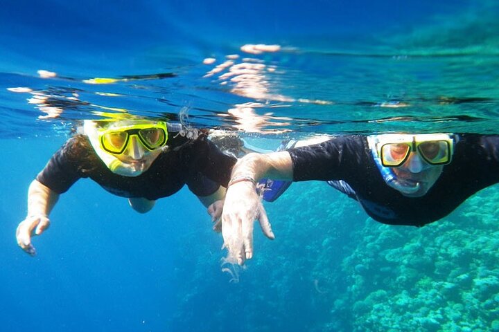 Intro Diving for Beginners in Hurghada with Pick-up and Lunch - Image 3