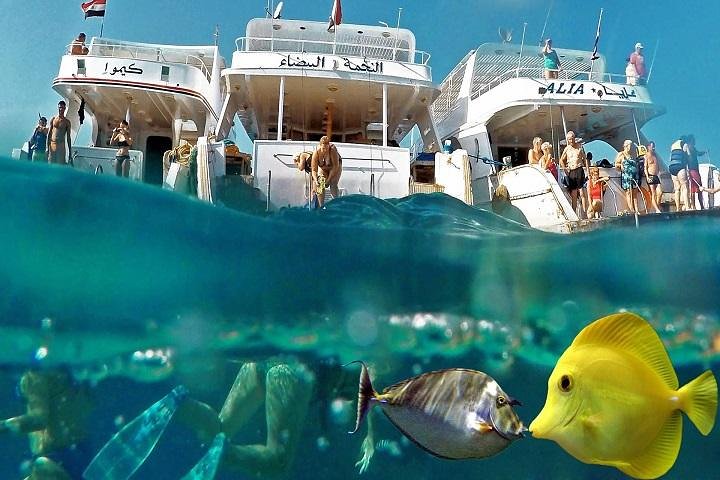 Mahmaya – Giftun Snorkelling Trip - Image 2