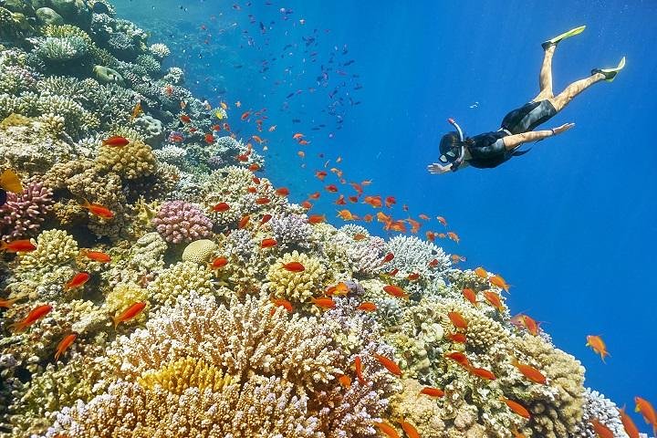 Mahmaya – Giftun Snorkelling Trip - Image 1