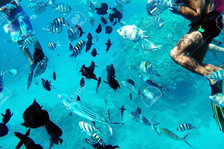 Nemo Island National Park Full-day Snorkeling Trip - Image 1