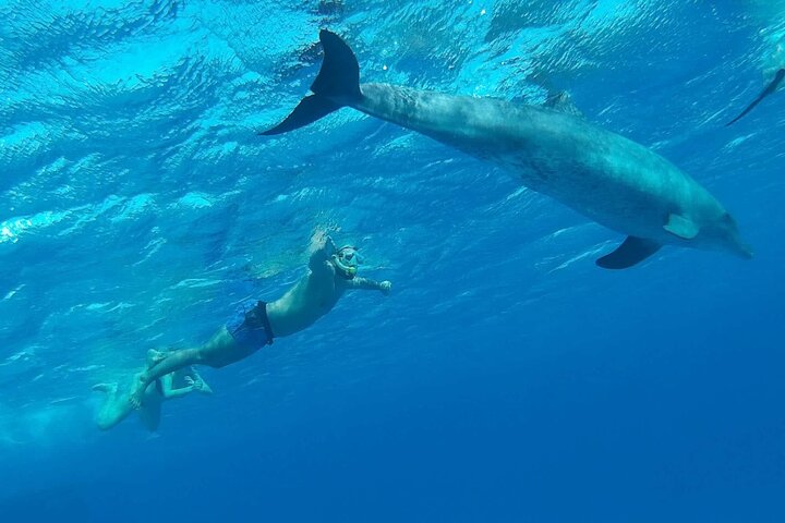 Orange Bay Island Sea Trip Snorkeling _ Hurghada - Image 2