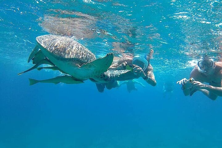 Orange bay Island: Your Own Maldives with Lunch and water sports - Image 3