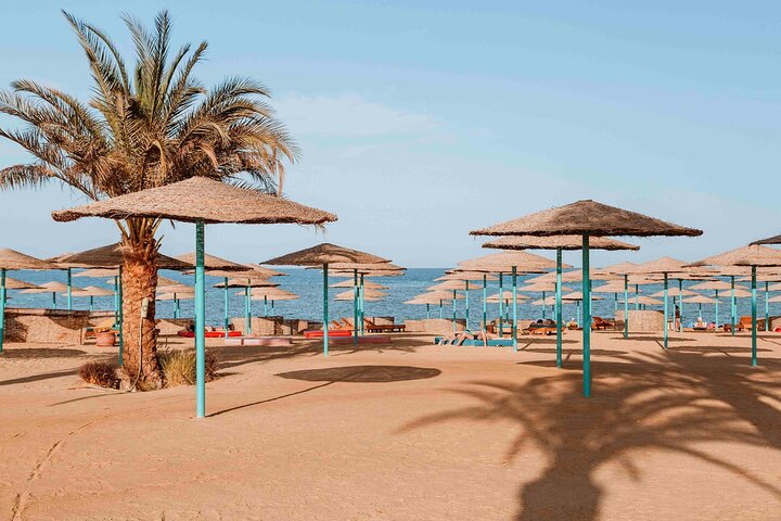 Orange Bay Private Snorkeling Cruise with Lunch - Image 5