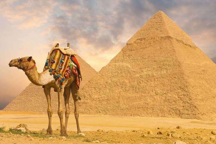 Over day To Cairo Pyramids Museum Sphinx and Lunch From Hurghada  - Image 1