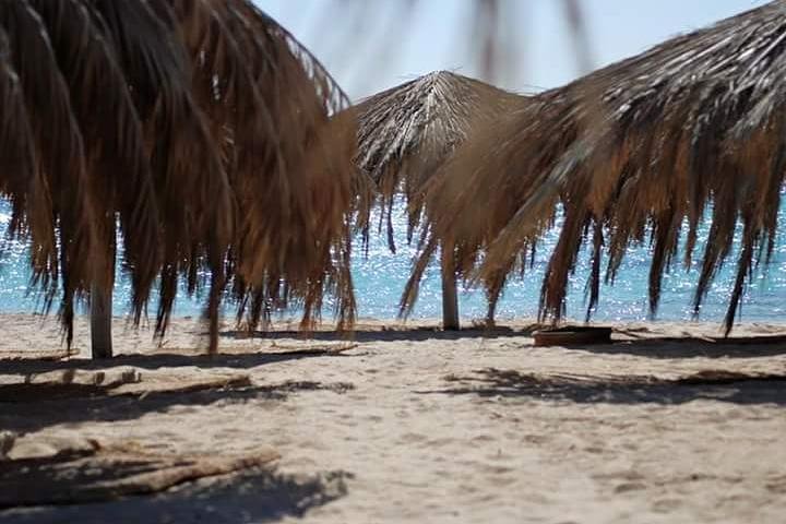 Paradise Island - Image 2