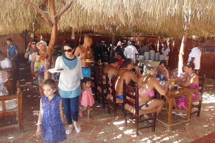 Paradise Island - Image 3
