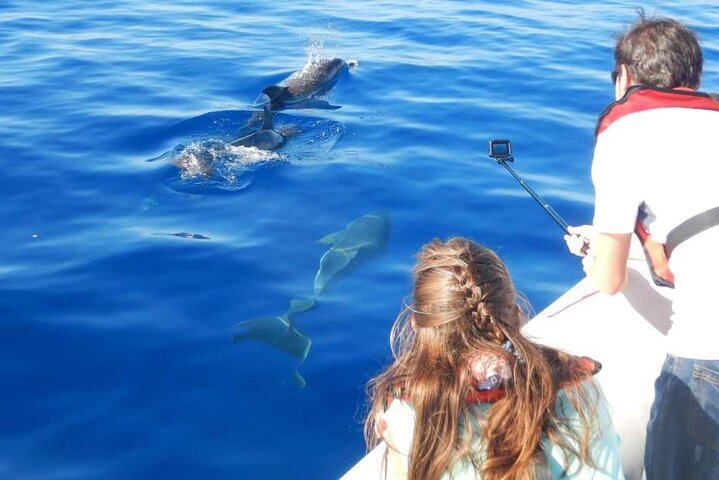 Private 4-Hour Speedboat Tour in the Read Sea from Hurghada - Image 3