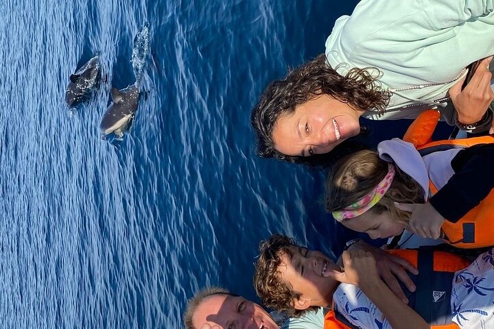 Private 4-Hour Speedboat Tour in the Read Sea from Hurghada - Image 4