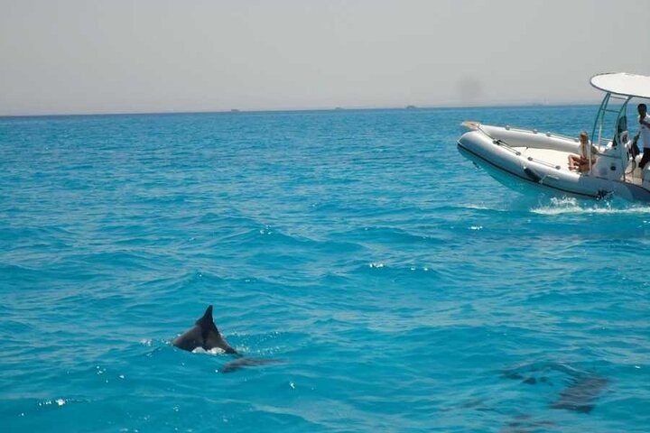Private 4-Hour Speedboat Tour in the Read Sea from Hurghada - Image 5
