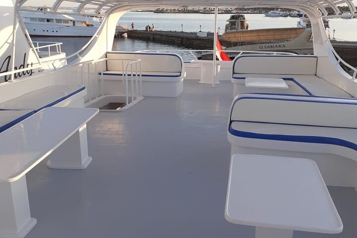 Private Boat Snorkeling Full Day Sea Trip in Hurghada - Image 5