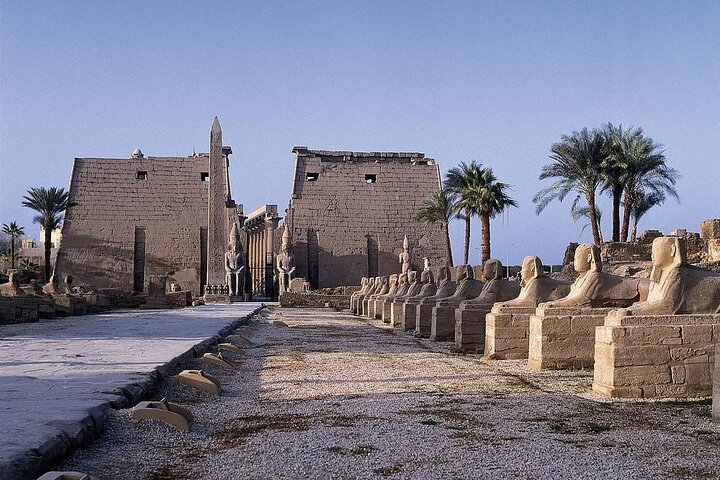 Private Day Tour in Luxor from Safaga Port - Image 4