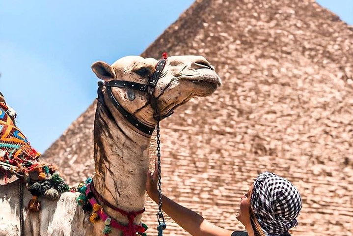 Private Full-Day Trip to Cairo & Giza From Hurghada with Lunch by car - Image 2