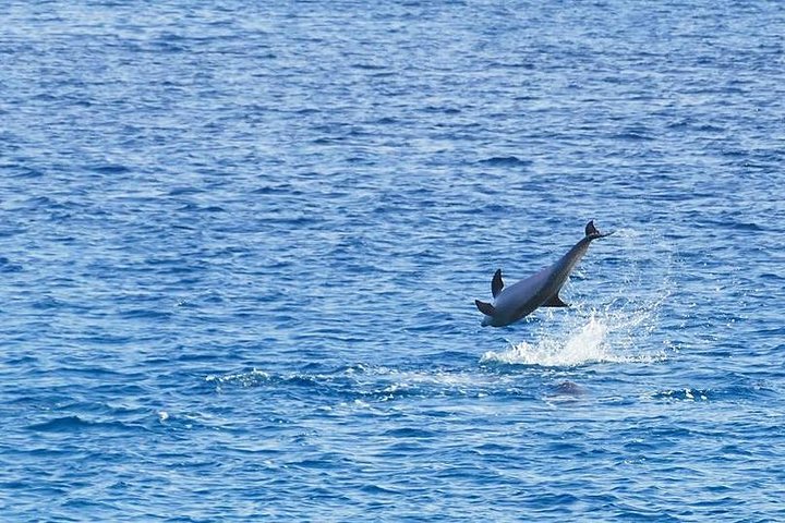 Quad safari in the canyon, snorkeling at the Blue Hole and a visit to Dahab - Image 3
