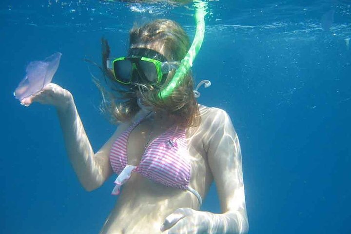 Reef Snorkeling - Sea trip Hurghada - Image 5