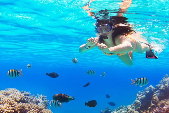 Reef Snorkeling - Sea trip Hurghada - Image 1