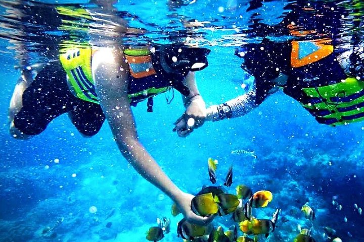 Reef Snorkeling - Sea trip Hurghada - Image 3