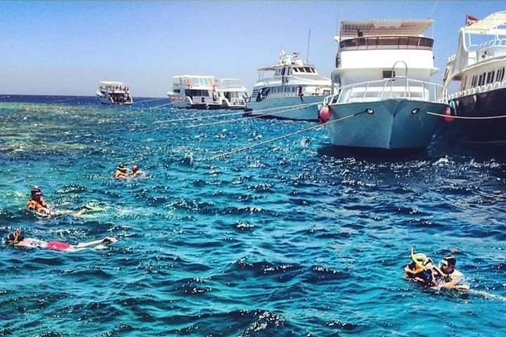 Sea Trip VIP ( Orange bay _Paradise island ) - Image 5