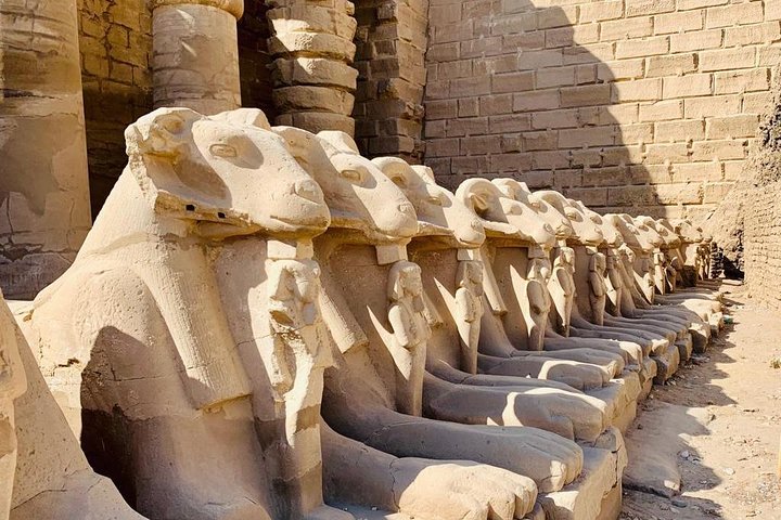 Shore Excursion - Luxor one day tour from Safaga Port - Image 5