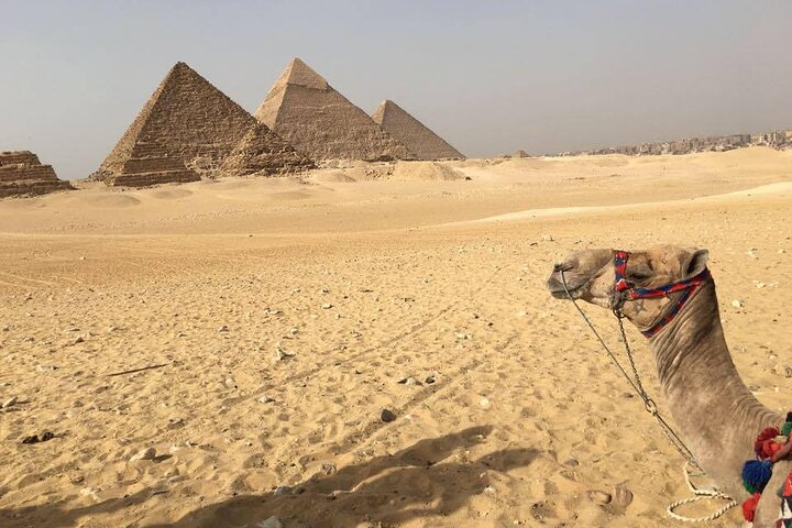 small group excursion to Cairo from Hurghada - Image 5
