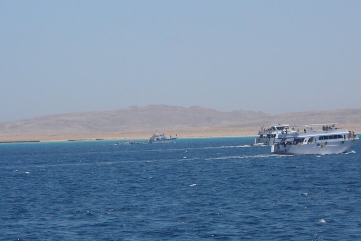 Snorkel tour in Sharm El Naga - Image 3