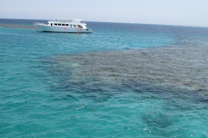 Snorkel tour in Sharm El Naga - Image 2
