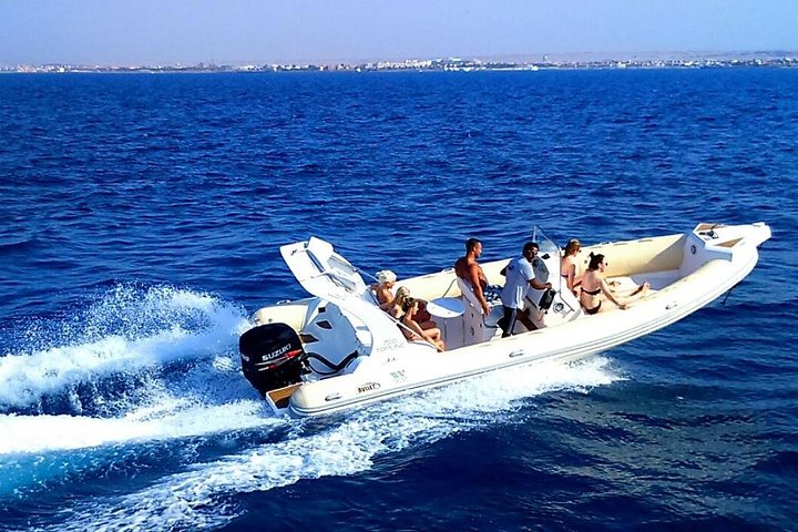 speed boat to dolphin - Image 4