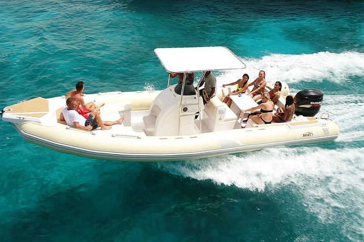 speed boat to dolphin - Image 3
