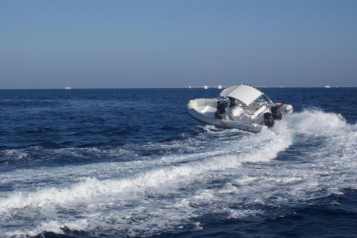 speed boat to dolphin - Image 1