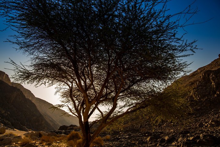 Sunset Luxury Experience to Dry Canyon Wadi Belli - Image 3