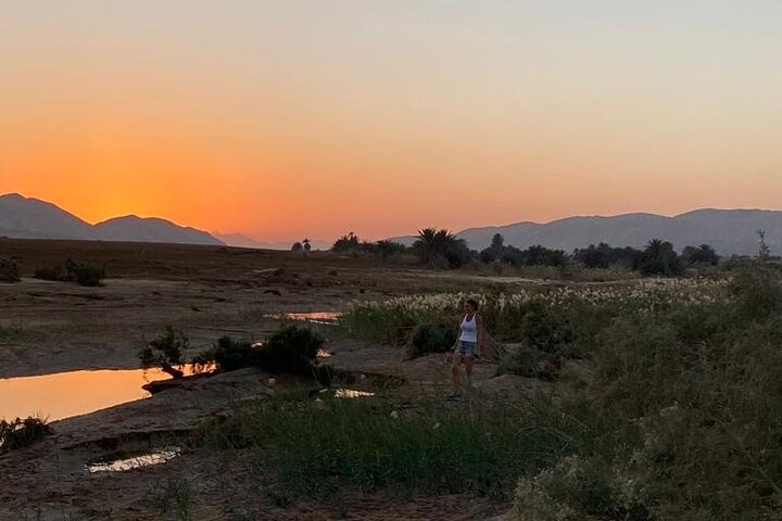 Sunset Oasis Desert Experience in El Gouna and Hurghada - Image 5