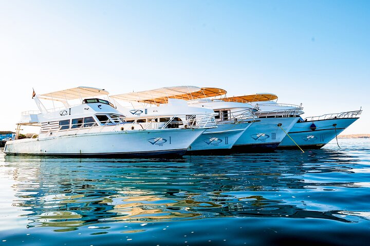  Viva Egypt hurghada Paradise Island & Lunch & Water sports 3*1 - Image 2