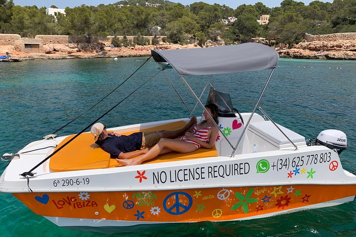 Adventurecat Half day tour - Boat Rental - No license required. - Image 3