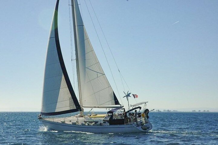 Boat day in Ibiza and Formentera - Image 1