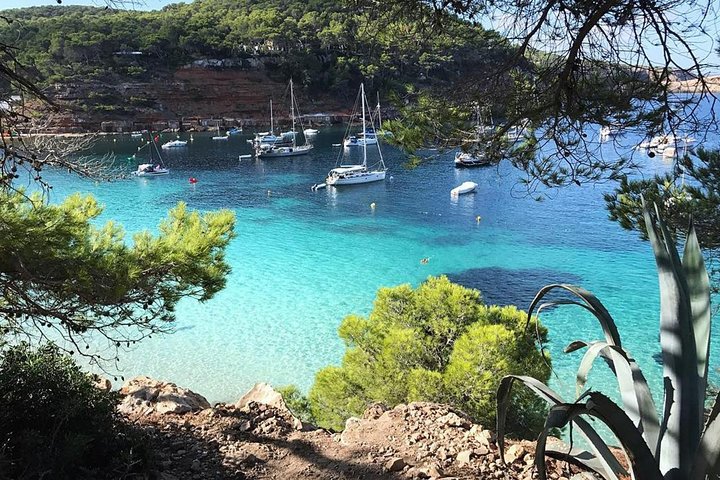 Cala Salada and Unspoiled North Beach Tour. Snorkelling and Aquarium - Image 4